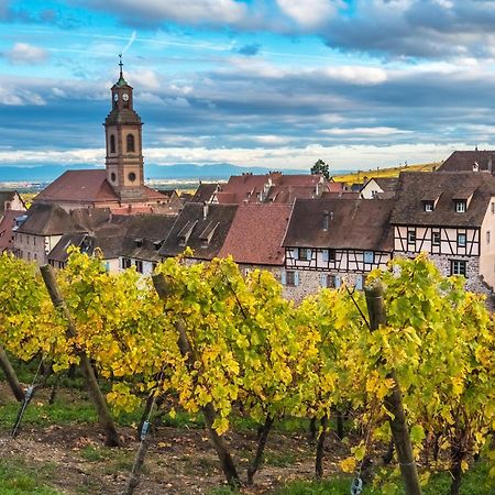 Stotzheim Gite "Le Piemont Des Vosges " מראה חיצוני תמונה