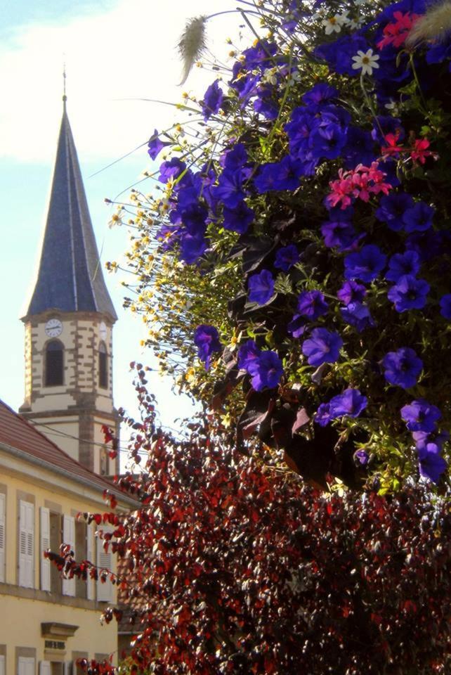 Stotzheim Gite "Le Piemont Des Vosges " מראה חיצוני תמונה