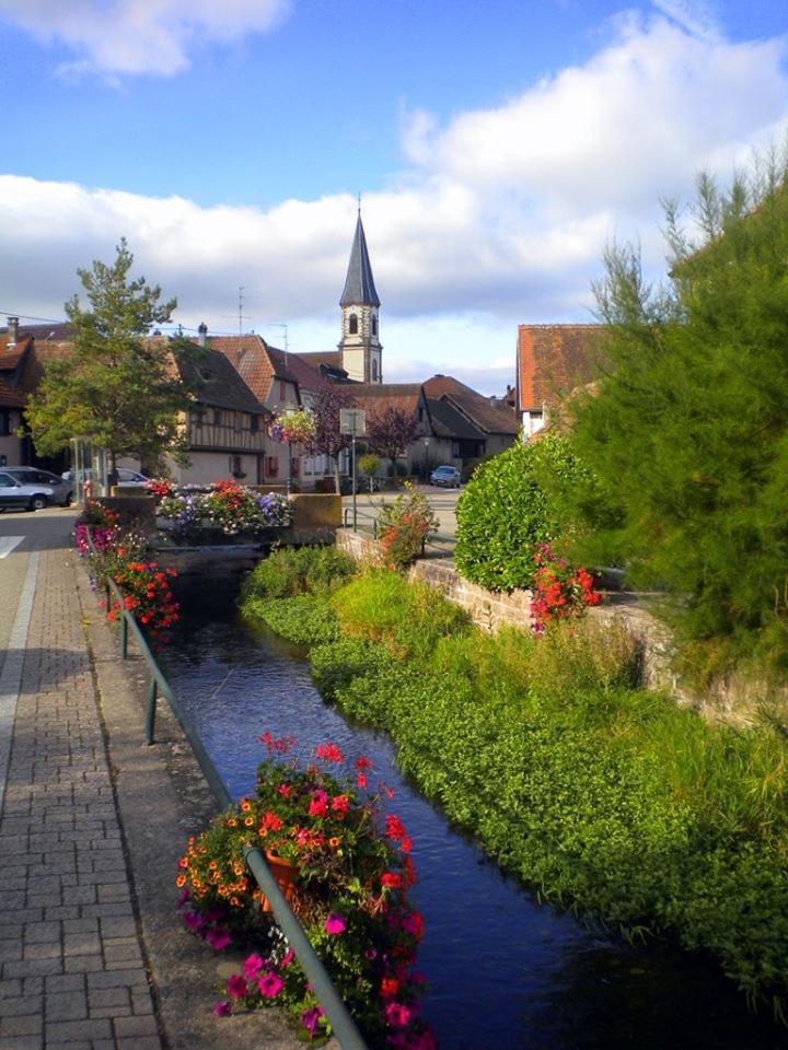 Stotzheim Gite "Le Piemont Des Vosges " מראה חיצוני תמונה