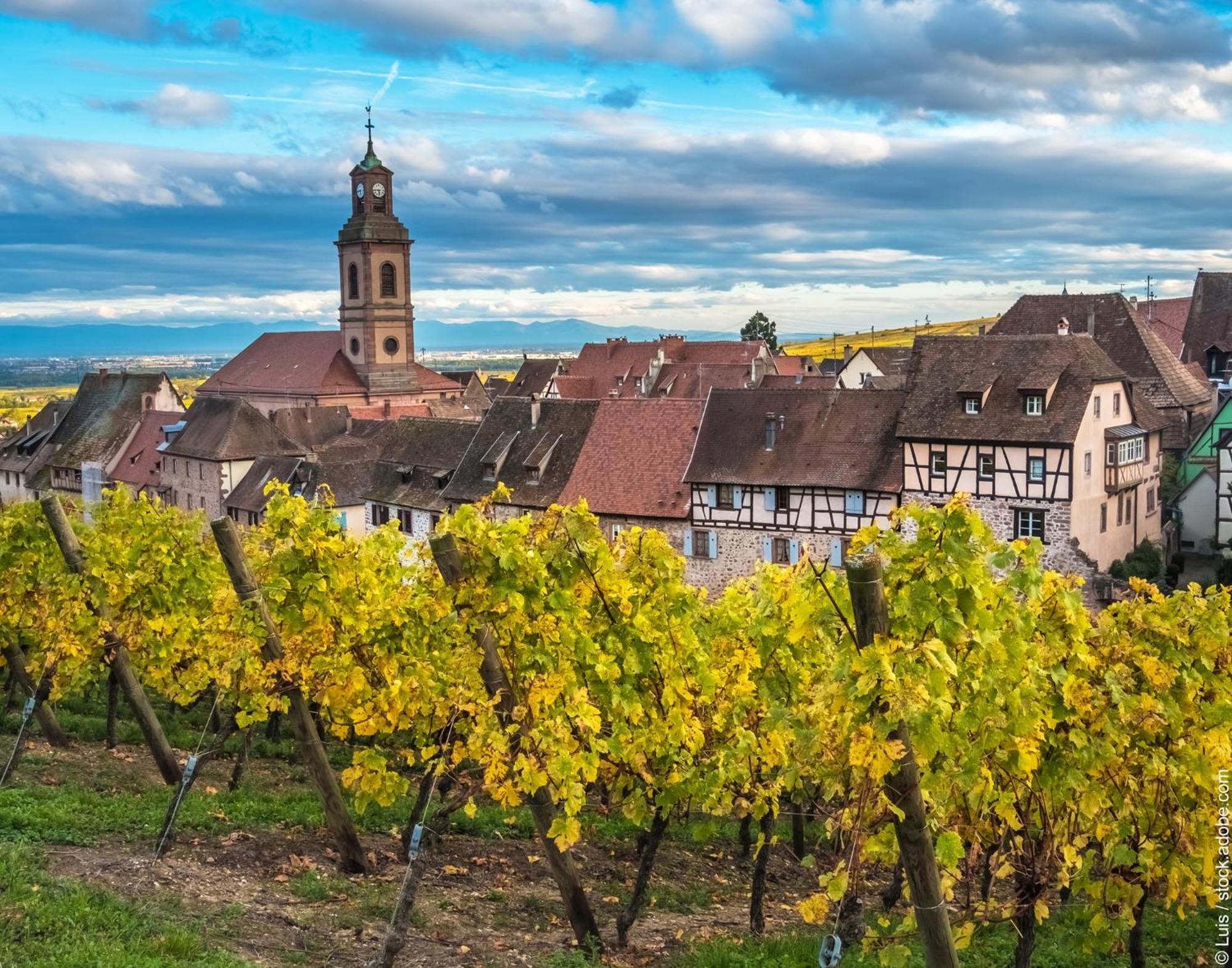Stotzheim Gite "Le Piemont Des Vosges " מראה חיצוני תמונה