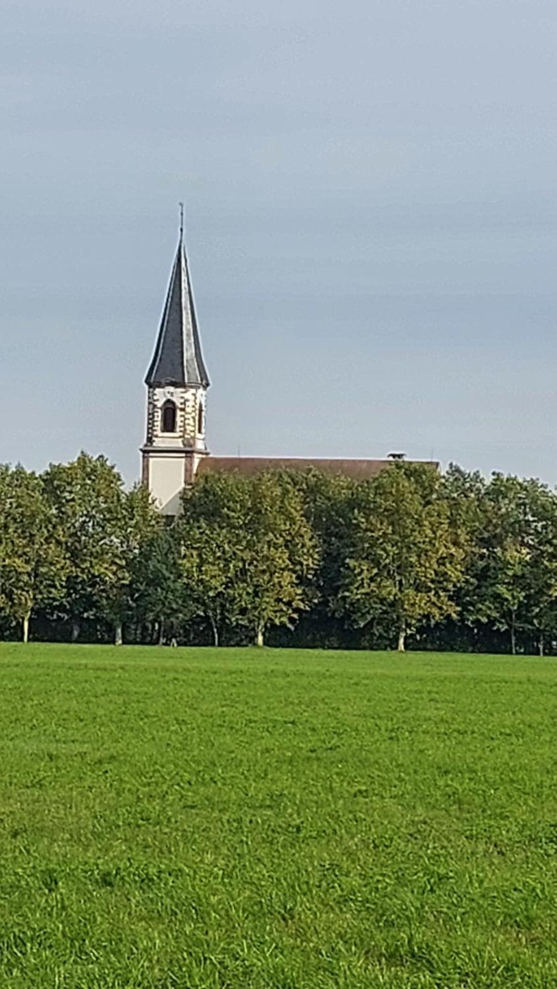 Stotzheim Gite "Le Piemont Des Vosges " מראה חיצוני תמונה