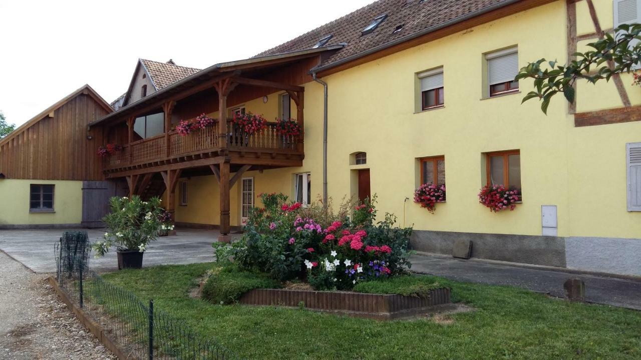Stotzheim Gite "Le Piemont Des Vosges " מראה חיצוני תמונה