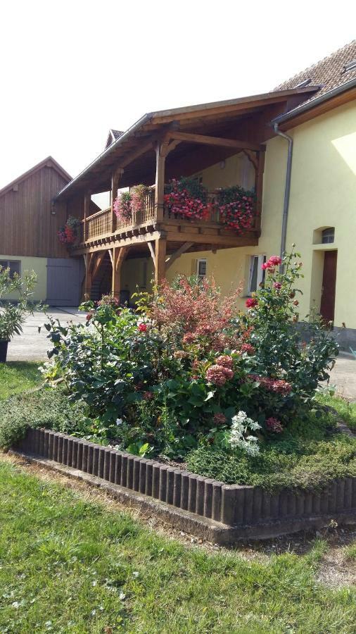 Stotzheim Gite "Le Piemont Des Vosges " מראה חיצוני תמונה