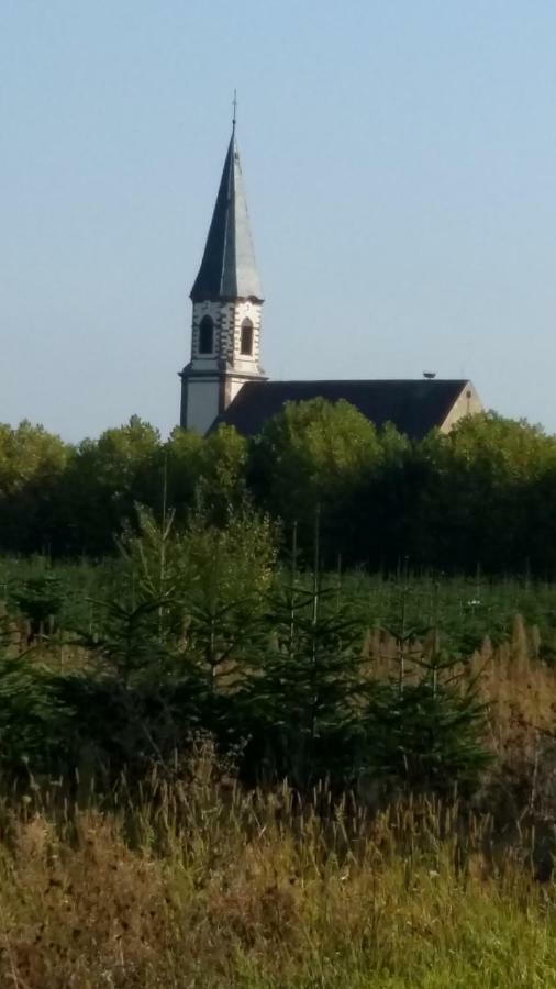 Stotzheim Gite "Le Piemont Des Vosges " מראה חיצוני תמונה