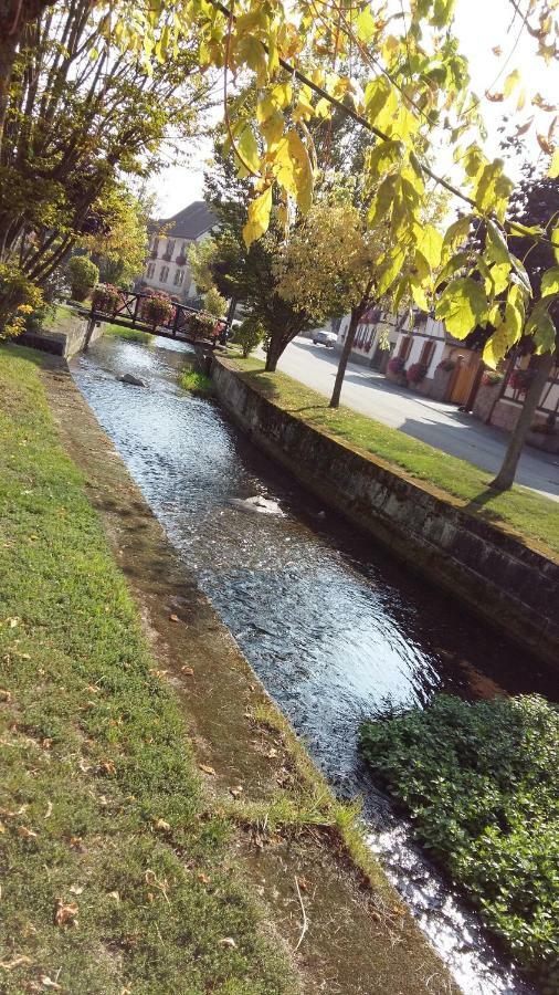Stotzheim Gite "Le Piemont Des Vosges " מראה חיצוני תמונה