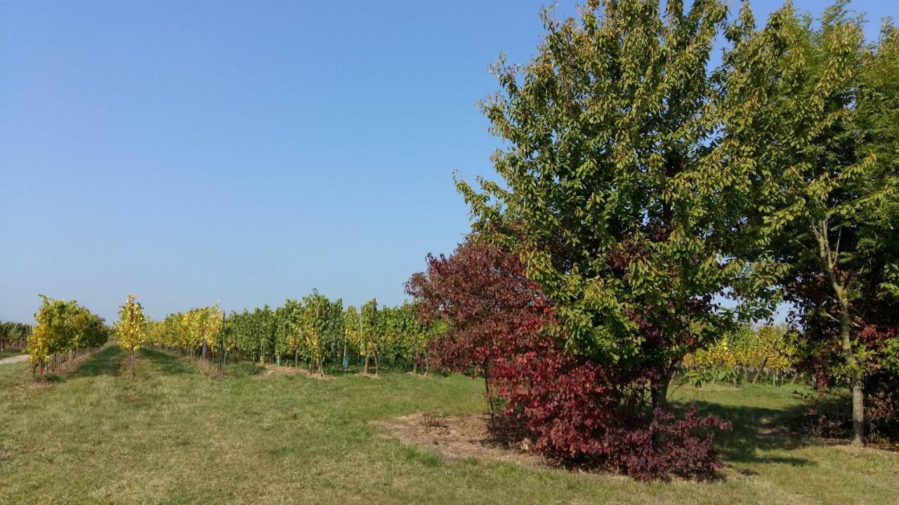 Stotzheim Gite "Le Piemont Des Vosges " מראה חיצוני תמונה